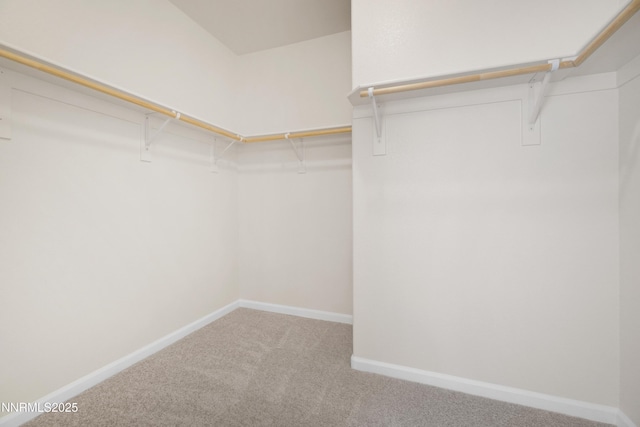 1723 Blue Oak Ct, Fernley, NV 89408 - spacious closet featuring carpet