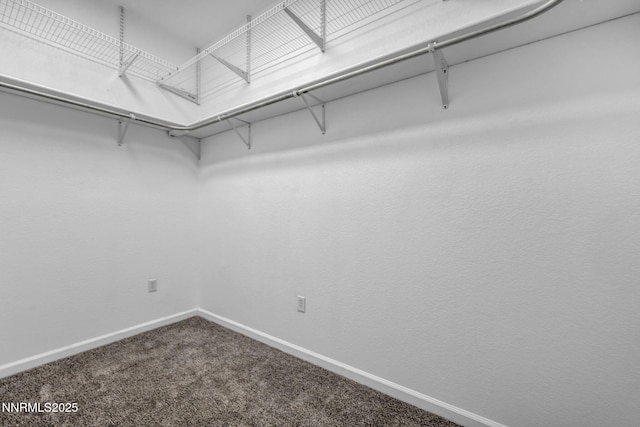 1048 Brierwood Ln, Fernley, NV 89408 - spacious closet with carpet floors