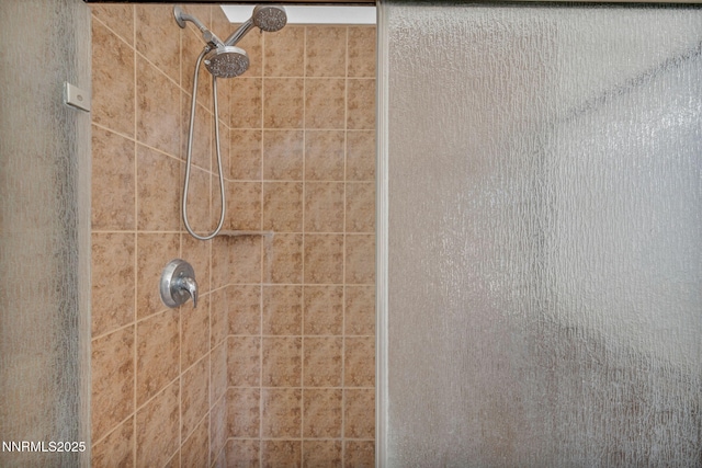 1048 Brierwood Ln, Fernley, NV 89408 - full bathroom featuring a stall shower