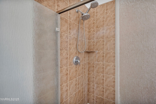 1048 Brierwood Ln, Fernley, NV 89408 - bathroom view of a shower stall