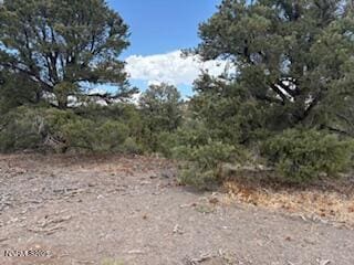 2040 Silverado Road Block M Vch 228, Reno, NV 89521