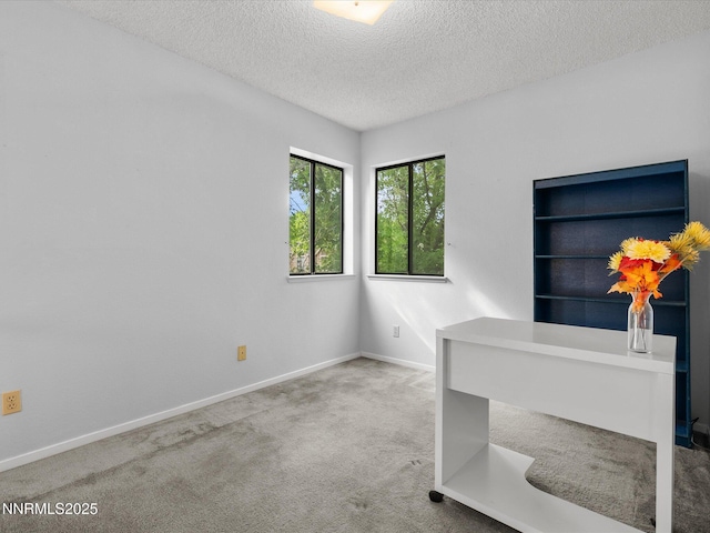4325 Leeward Ln, Reno, NV 89502 - unfurnished office featuring carpet flooring and a textured ceiling