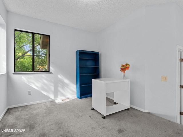 4325 Leeward Ln, Reno, NV 89502 - carpeted empty room with a textured ceiling and baseboards