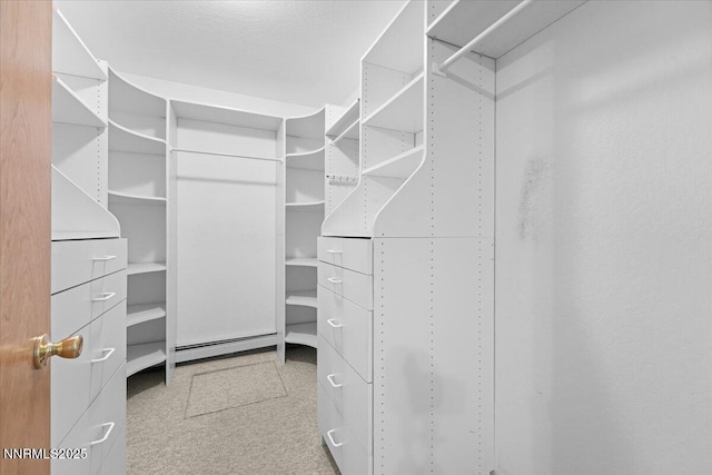 7 Circle Dr, Carson City, NV 89703 - view of walk in closet