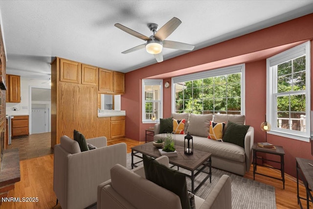 7 Circle Dr, Carson City, NV 89703 - living room with ceiling fan, healthy amount of natural light, lofted ceiling, and light wood-type flooring
