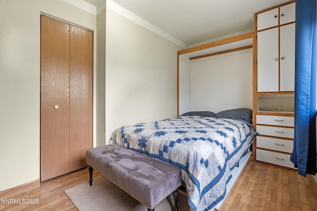 2450 Chukar Dr, Washoe Valley, NV 89704 - bedroom featuring light wood finished floors