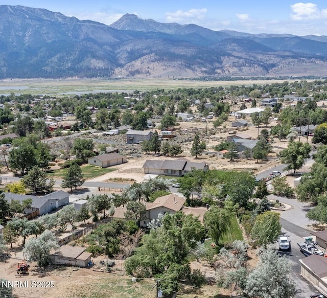 2450 Chukar Dr, Washoe Valley, NV 89704 - mountain view