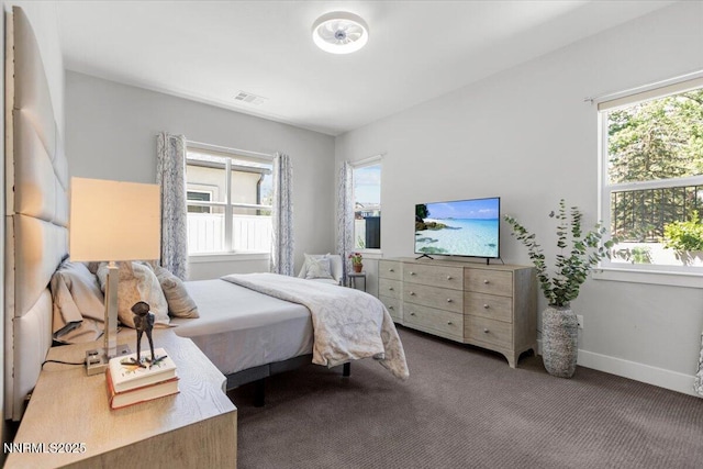 5517 Western Rider Trl, Reno, NV 89511 - carpeted bedroom with multiple windows