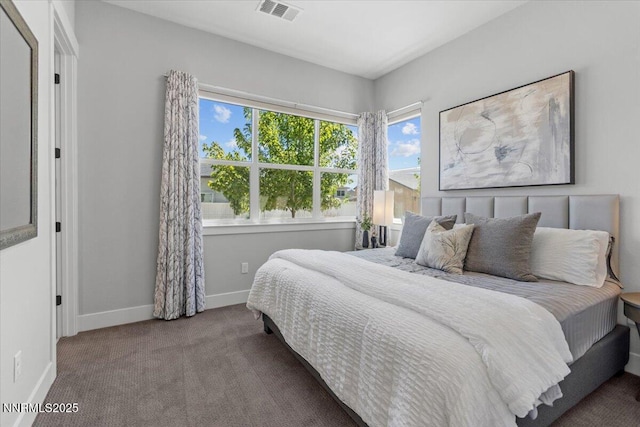 5517 Western Rider Trl, Reno, NV 89511 - carpeted bedroom featuring baseboards