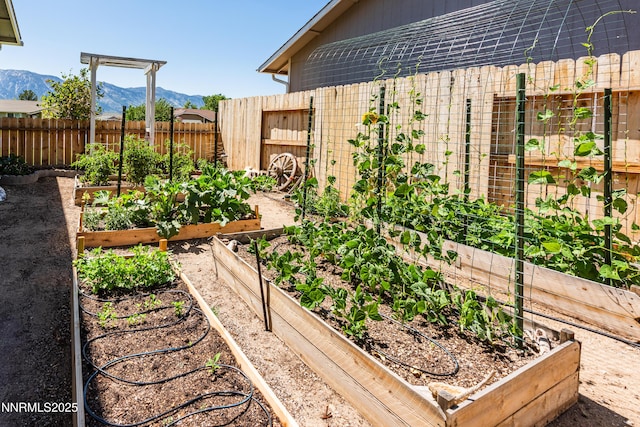 653 Carmel Way, Gardnerville, NV 89460 - view of yard featuring a garden and a mountain view