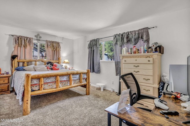827 Robin Dr, Incline Village, NV 89451 - photo 30