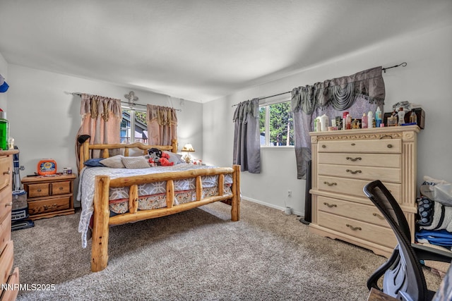 827 Robin Dr, Incline Village, NV 89451 - photo 37