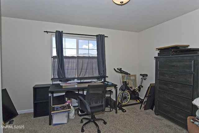 3628 Pocono Downs Dr, Reno, NV 89512 - photo 29
