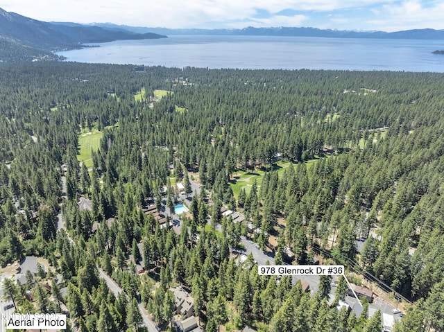978 Glenrock Dr Unit 36, Incline Village, NV 89451 - view of property location with a forest and a water and mountain view
