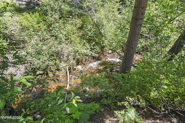978 Glenrock Dr Unit 36, Incline Village, NV 89451 - view of nature