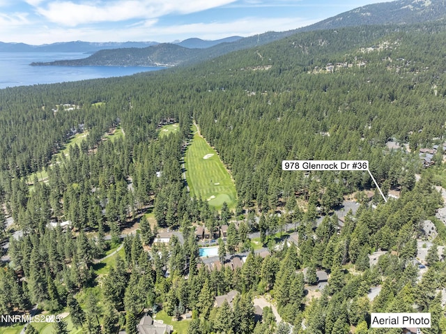 978 Glenrock Dr Unit 36, Incline Village, NV 89451 - view of property location with a heavily wooded area and a water and mountain view