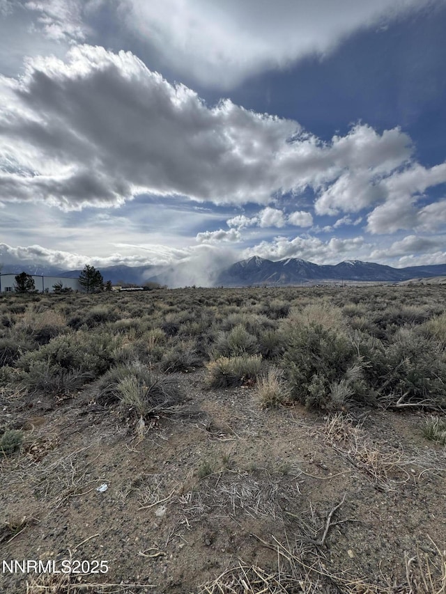 2590 Nowlin Rd, Minden, NV 89423