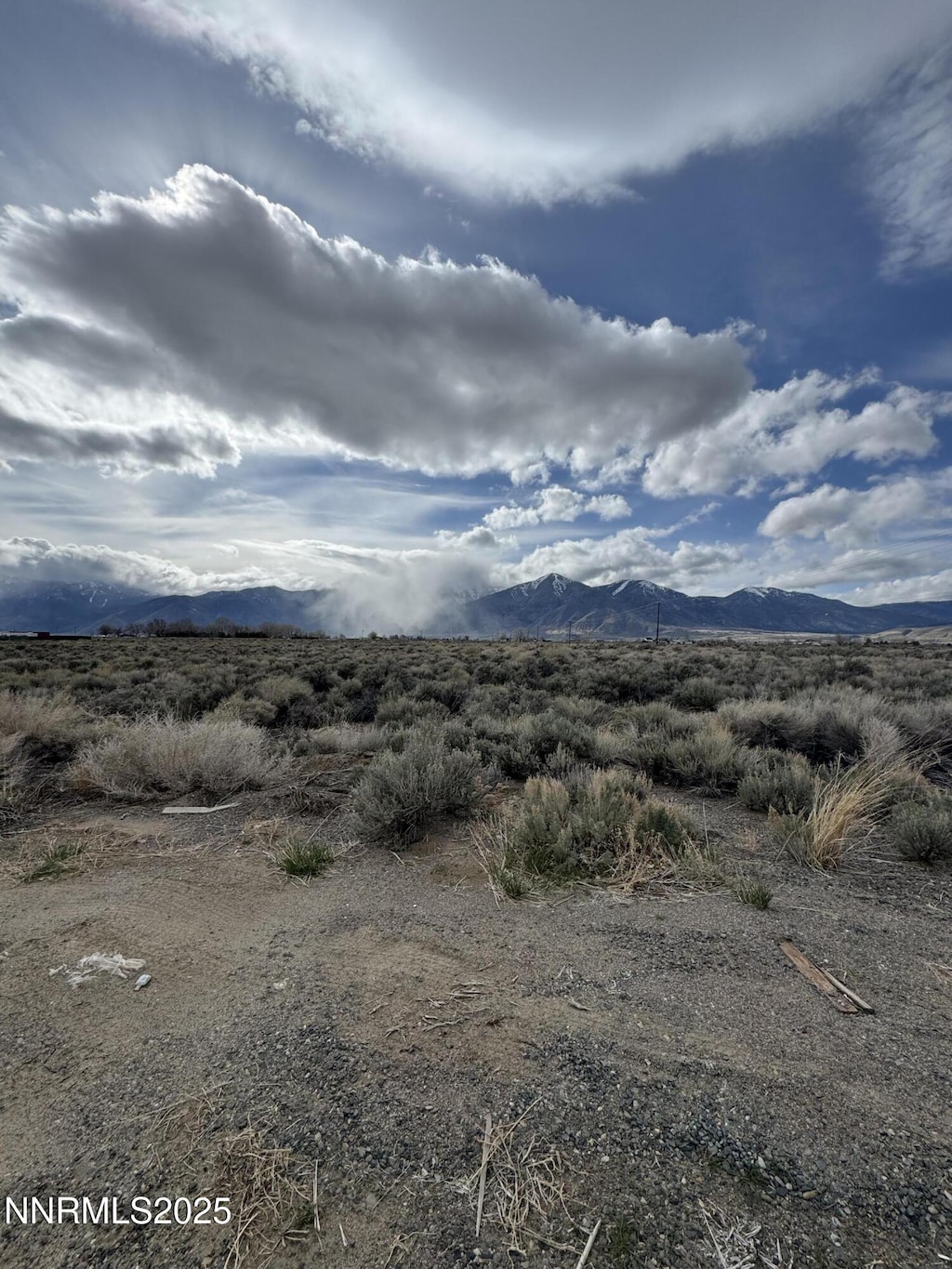 2596 Nowlin Rd, Minden, NV 89423