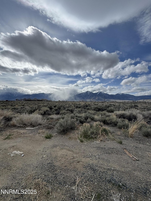 2596 Nowlin Rd, Minden, NV 89423