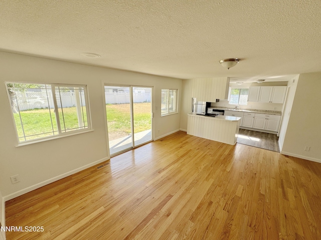 1568 County Rd, Minden, NV 89423 - unfurnished living room featuring a textured ceiling and light wood-style floors