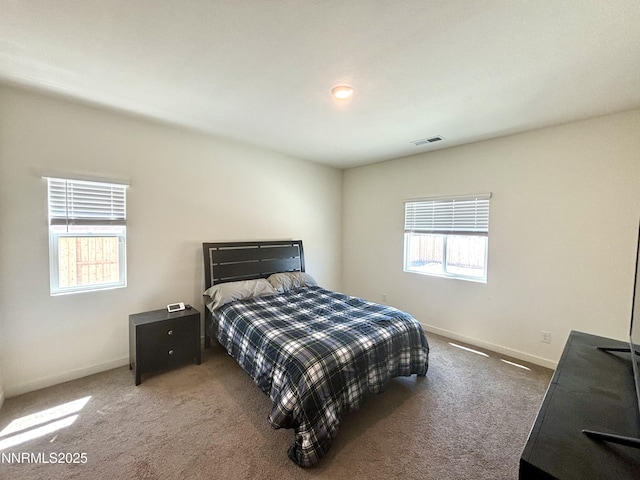 1007 Brierwood Ln, Fernley, NV 89408 - photo 16