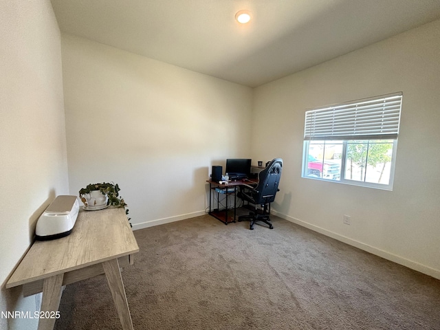 1007 Brierwood Ln, Fernley, NV 89408 - photo 18
