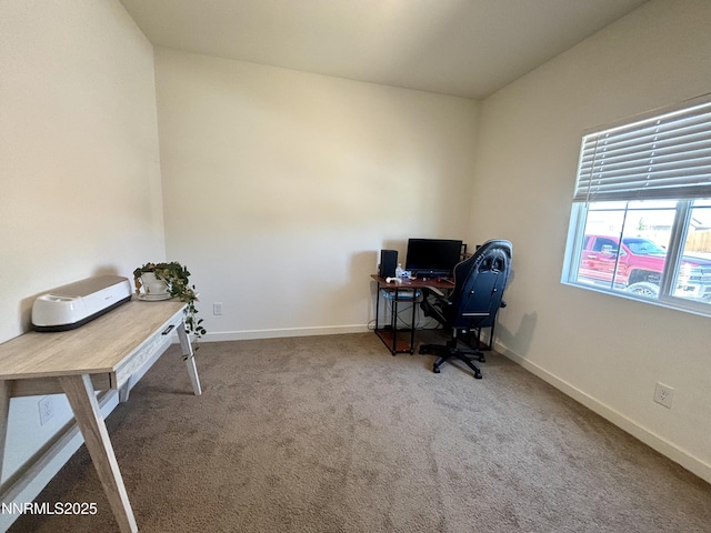 1007 Brierwood Ln, Fernley, NV 89408 - photo 19