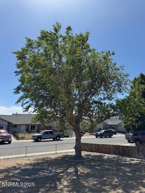 575 Yellow Jacket Rd, Dayton, NV 89403 - photo 4