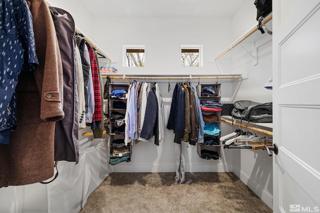 1585 Foster Dr, Reno, NV 89509 - spacious closet with carpet flooring