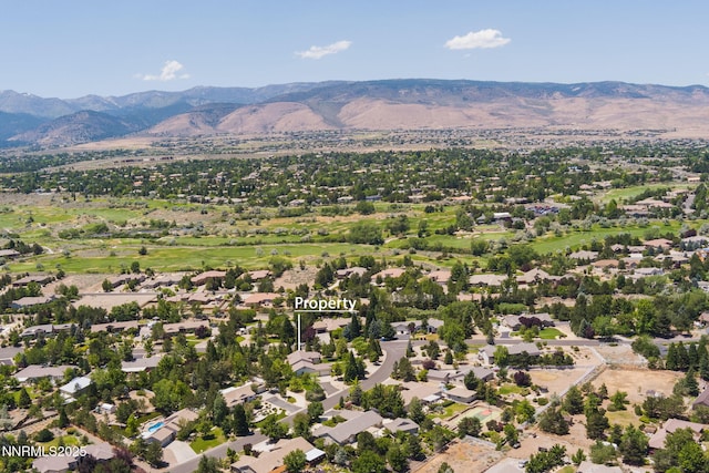1300 Flanders Rd, Reno, NV 89511 - photo 50