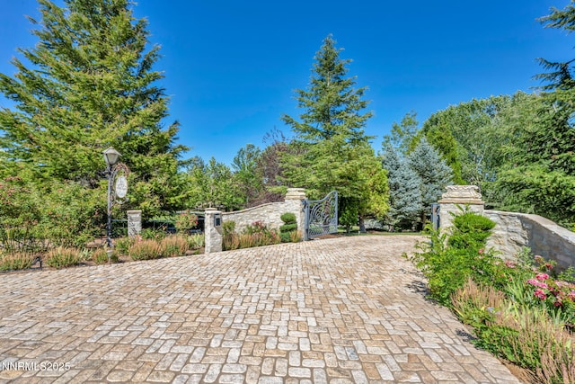 3820 Frost Ln, Reno, NV 89511 - view of gate