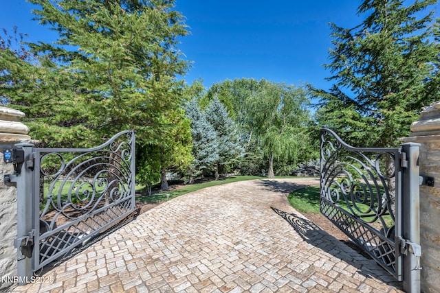 3820 Frost Ln, Reno, NV 89511 - view of gate