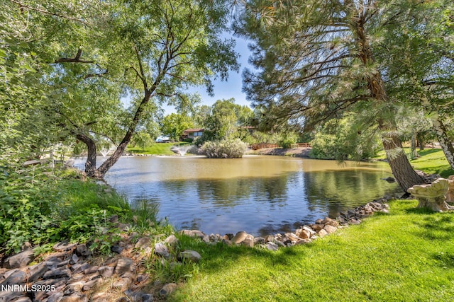 3820 Frost Ln, Reno, NV 89511 - water view