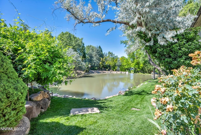3820 Frost Ln, Reno, NV 89511 - water view