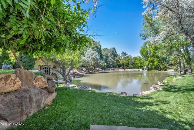 3820 Frost Ln, Reno, NV 89511 - water view