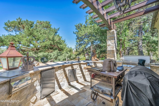 3820 Frost Ln, Reno, NV 89511 - view of patio / terrace featuring area for grilling, a pergola, and a fireplace