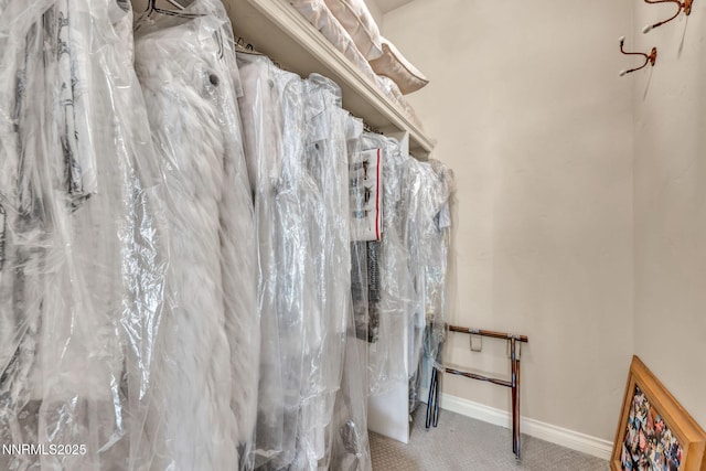3820 Frost Ln, Reno, NV 89511 - walk in closet with carpet