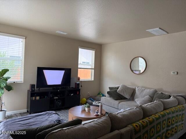 1108 Tuscan Ct, Minden, NV 89423 - living area with baseboards