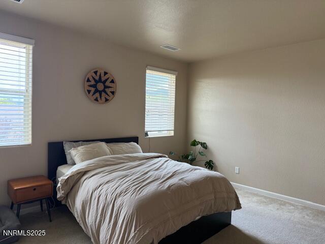 1108 Tuscan Ct, Minden, NV 89423 - bedroom featuring multiple windows and carpet floors