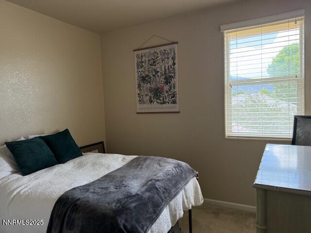 1108 Tuscan Ct, Minden, NV 89423 - bedroom with carpet flooring and baseboards