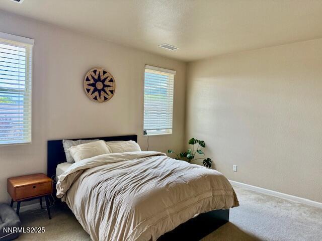 1108 Tuscan Ct, Minden, NV 89423 - photo 12