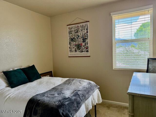 1108 Tuscan Ct, Minden, NV 89423 - photo 16