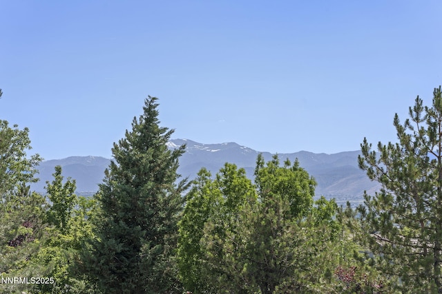 9900 Wilbur May Pkwy Unit 5105, Reno, NV 89521 - photo 25