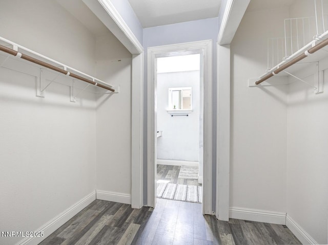 1866 Albert St, Fallon, NV 89406 - spacious closet featuring wood finished floors