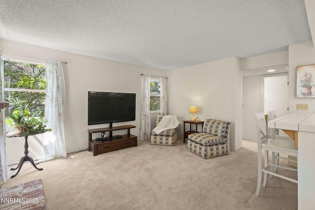 994 Mirror Lake Ct, Reno, NV 89511 - photo 16