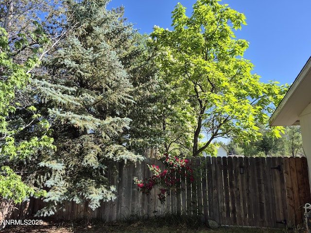 1312 Saratoga St, Minden, NV 89423 - photo 19