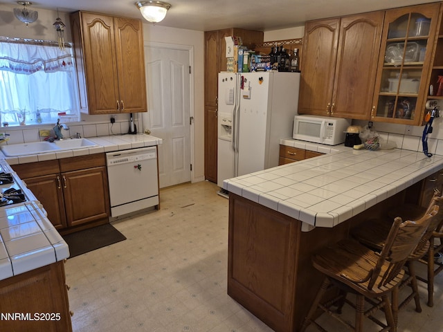 1312 Saratoga St, Minden, NV 89423 - photo 6