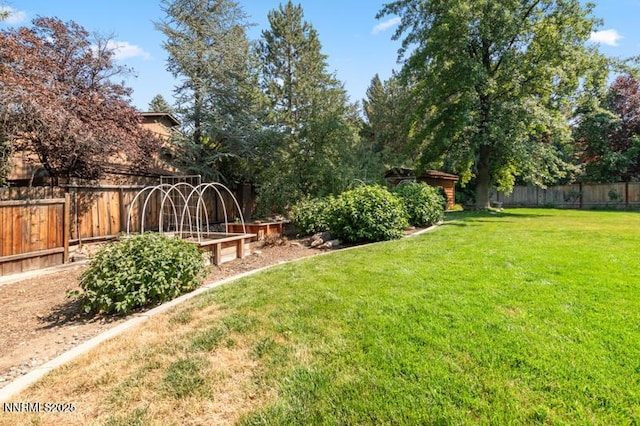 2126 Thomas Jefferson Dr, Reno, NV 89509 - fenced backyard featuring a vegetable garden