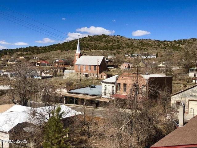 104 S St, Austin, NV 89310