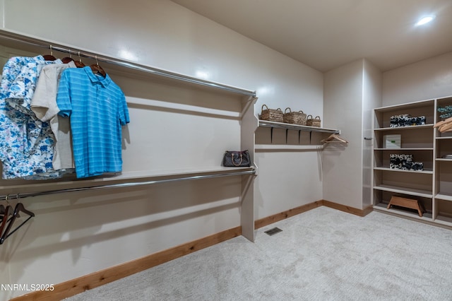 48 Rose Creek Ln, Reno, NV 89511 - spacious closet with carpet